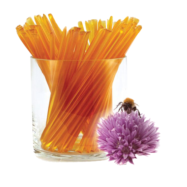 Bee's Squeeze - Honey Sticks - Clover 50ct - Colorado Food Showroom